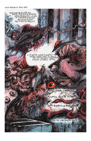 night museum at devil reef