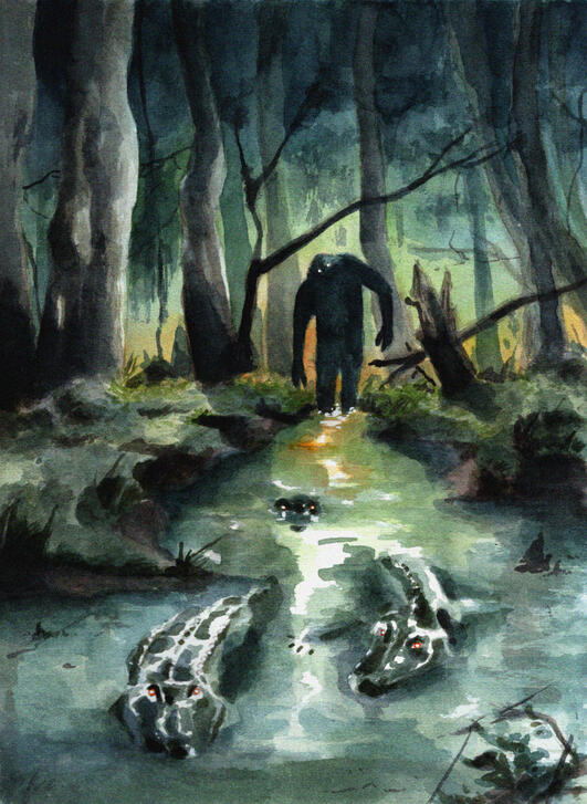 a cold night for alligators